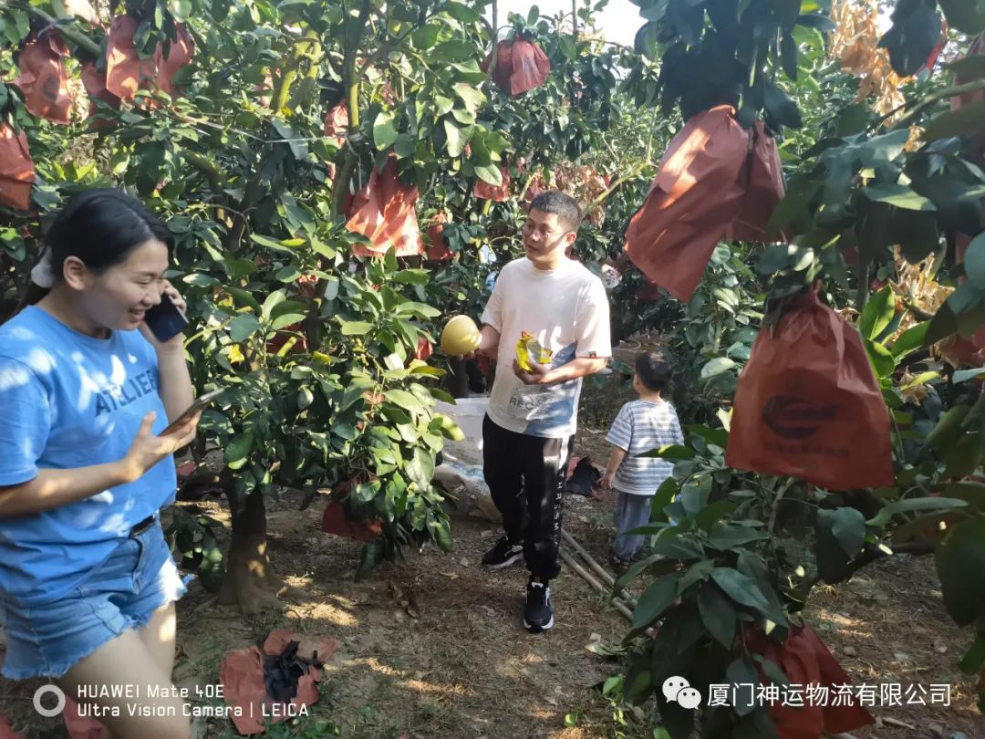 &#20048;&#31454;&#23448;&#32593;&#45;&#20048;&#31454;&#40;&#20013;&#22269;&#41;&#19968;&#31449;&#24335;&#20307;&#32946;&#26381;&#21153;